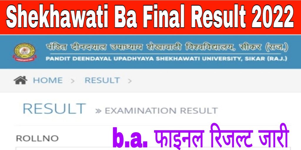 Shekhawati University BA Final Year Result 2022