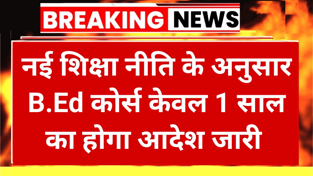 NCTE BED Course News