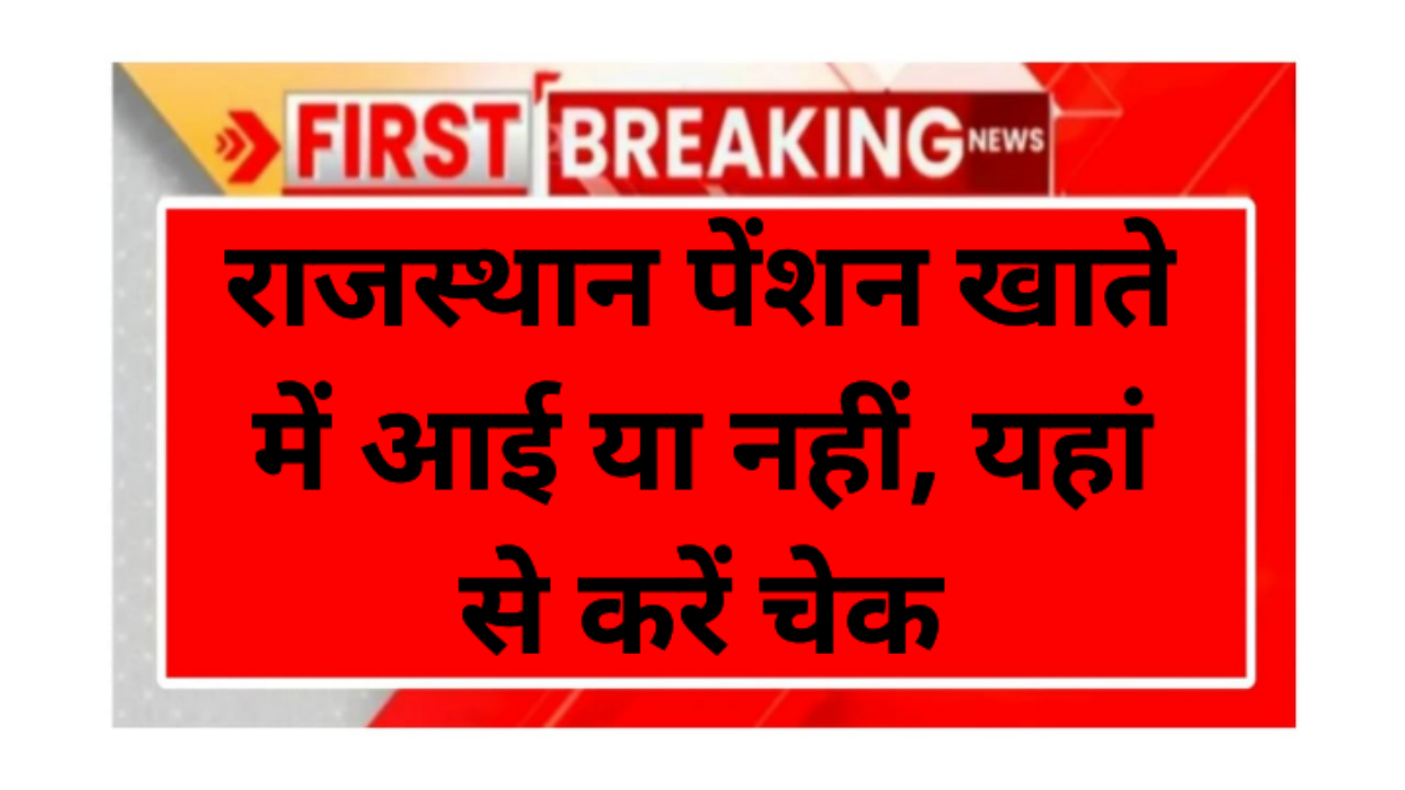 Rajasthan Social Security Pension Scheme Payment System