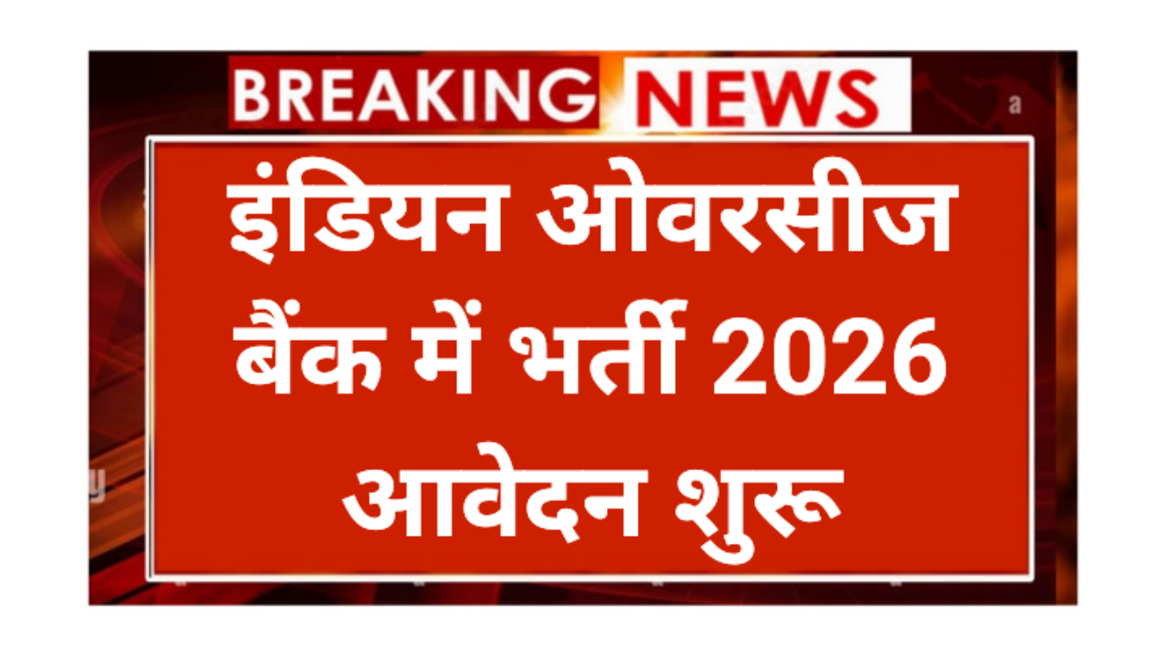 IBO Apprentice Requirement 2026